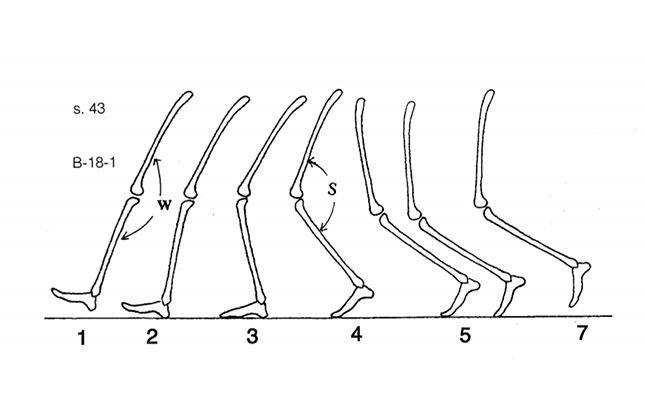 a02.jpg